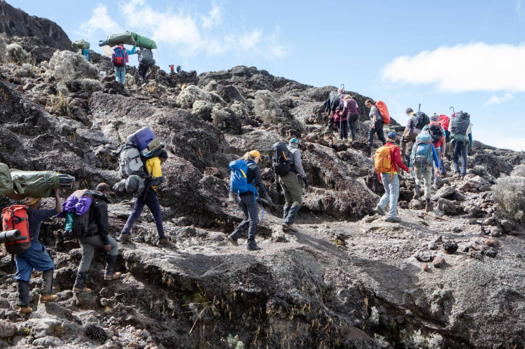 Kilimanjaro Trekking